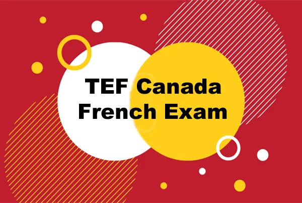 tef french exam